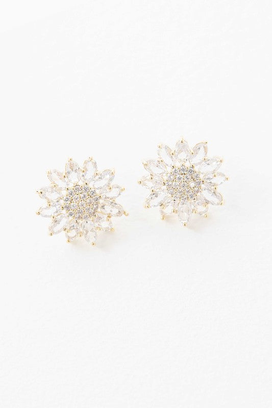 Women's Aurora Stud Beauty Earrings